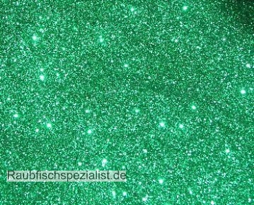 Glitter "Green"   ca. 8g